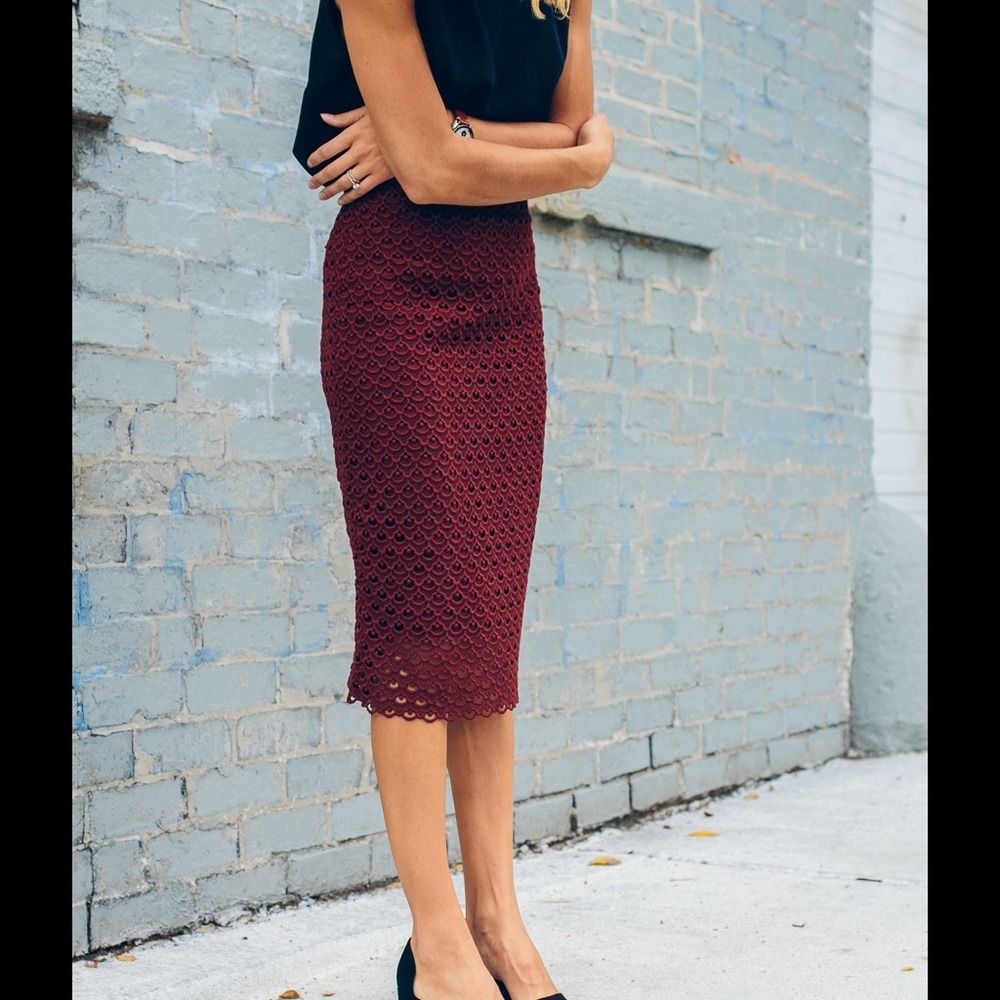 NWT Ann Taylor Tulip Lace Pencil Skirt NWT
